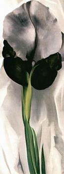 喬治亞 奧基夫 Iris 喬治亞 奧基夫 Iris